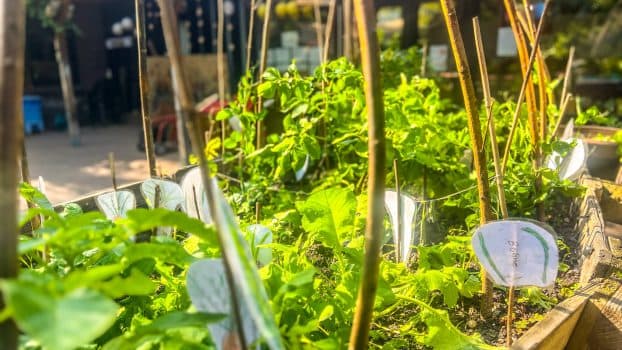 Kita Lutherhöhe Galerie 3